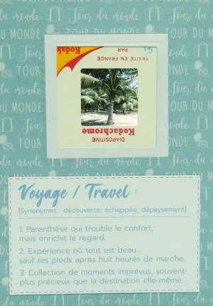 Carte postale voyage - Palmiers
