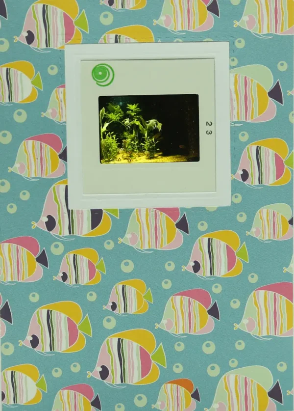 carte originale, ambiance aquarium et poissons, à personnaliser en choisissant sa propre définition.
