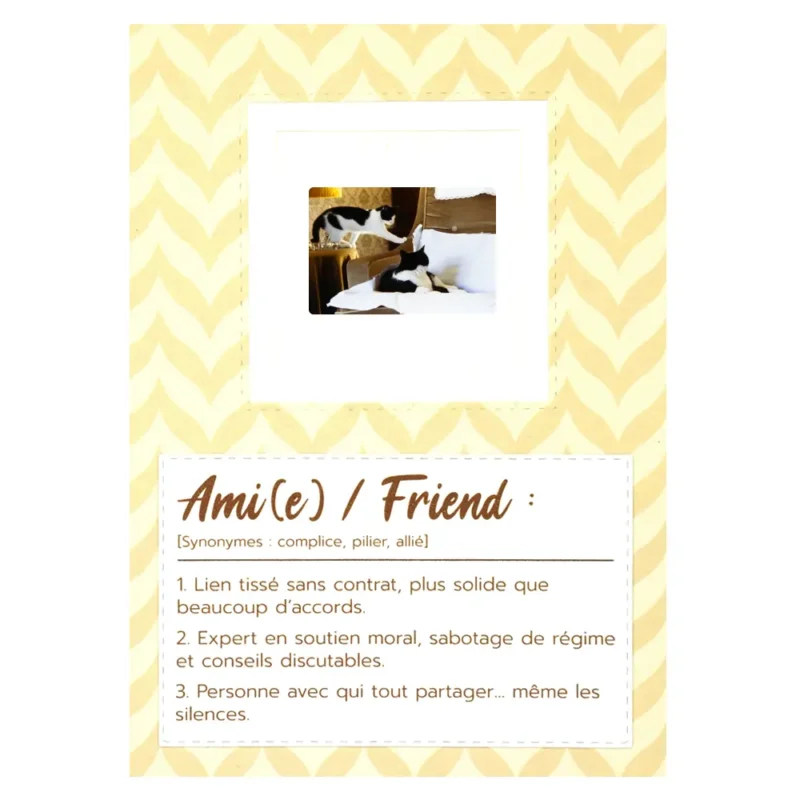 carte amitié thème chats