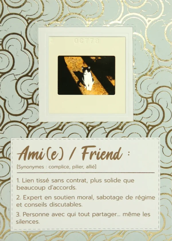 Carte d'un chat pour célébrer les amies