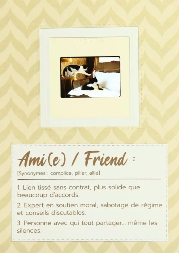 Carte originale à partir d'une diapo authentique avec deux chats qui jouent sur un fauteuil, on peut lire la définition du mot amitié dessous.