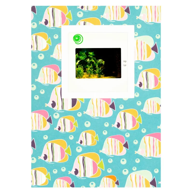 carte originale, ambiance aquarium et poissons, à personnaliser en choisissant sa propre définition.