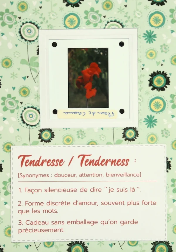 Carte pour envoyer quelques mots tendres à un proche à partir d'une vieille diapo avec une fleur rouge et la définition du mot tendresse
