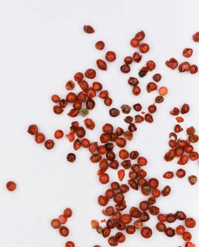 graines à semer idée cadeau d'assiette noËl